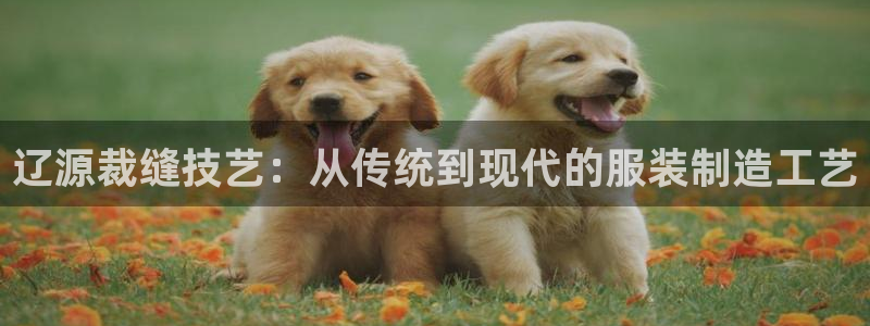 天辰注册娱乐