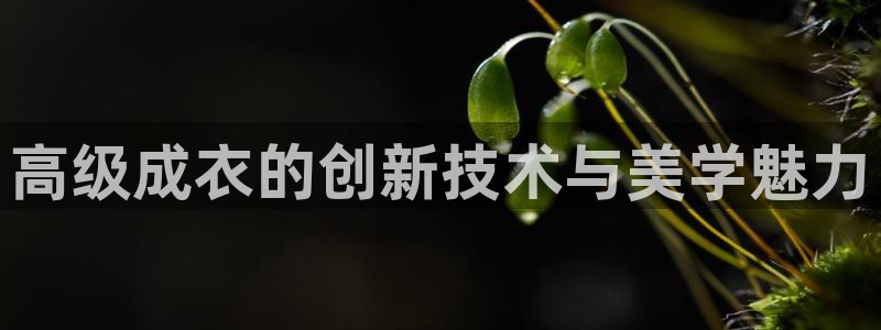 天辰娱乐