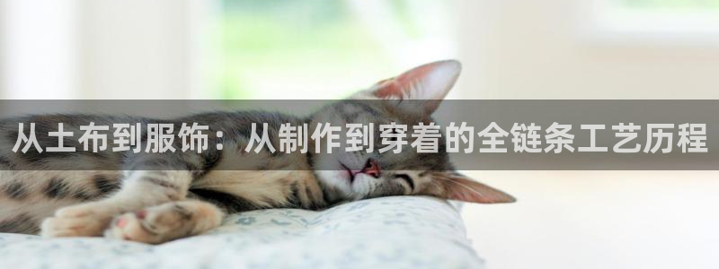 天辰娱乐代理