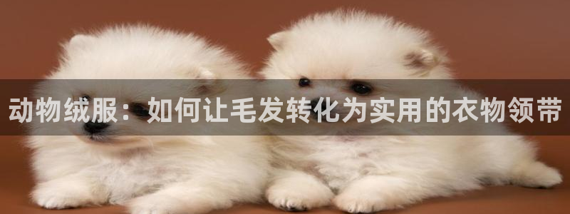 天辰臣娱乐