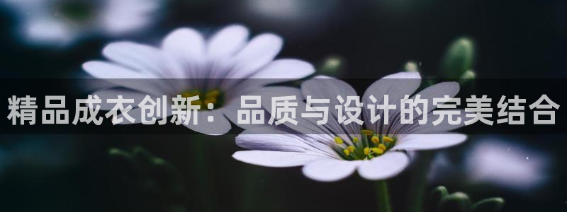 天辰娱乐1956