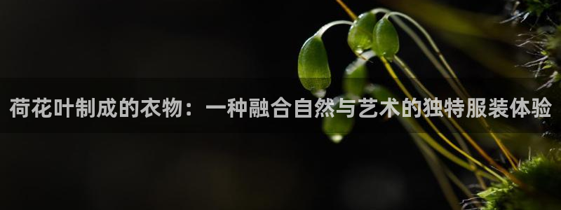 天辰娱乐728567