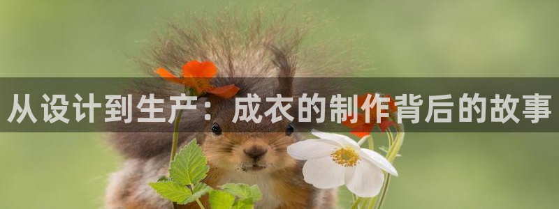 天辰娱乐 . 鱼刺